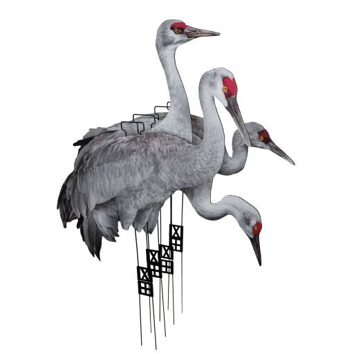 Fully Flocked Sandhill Crane Skinny (12 Pack)