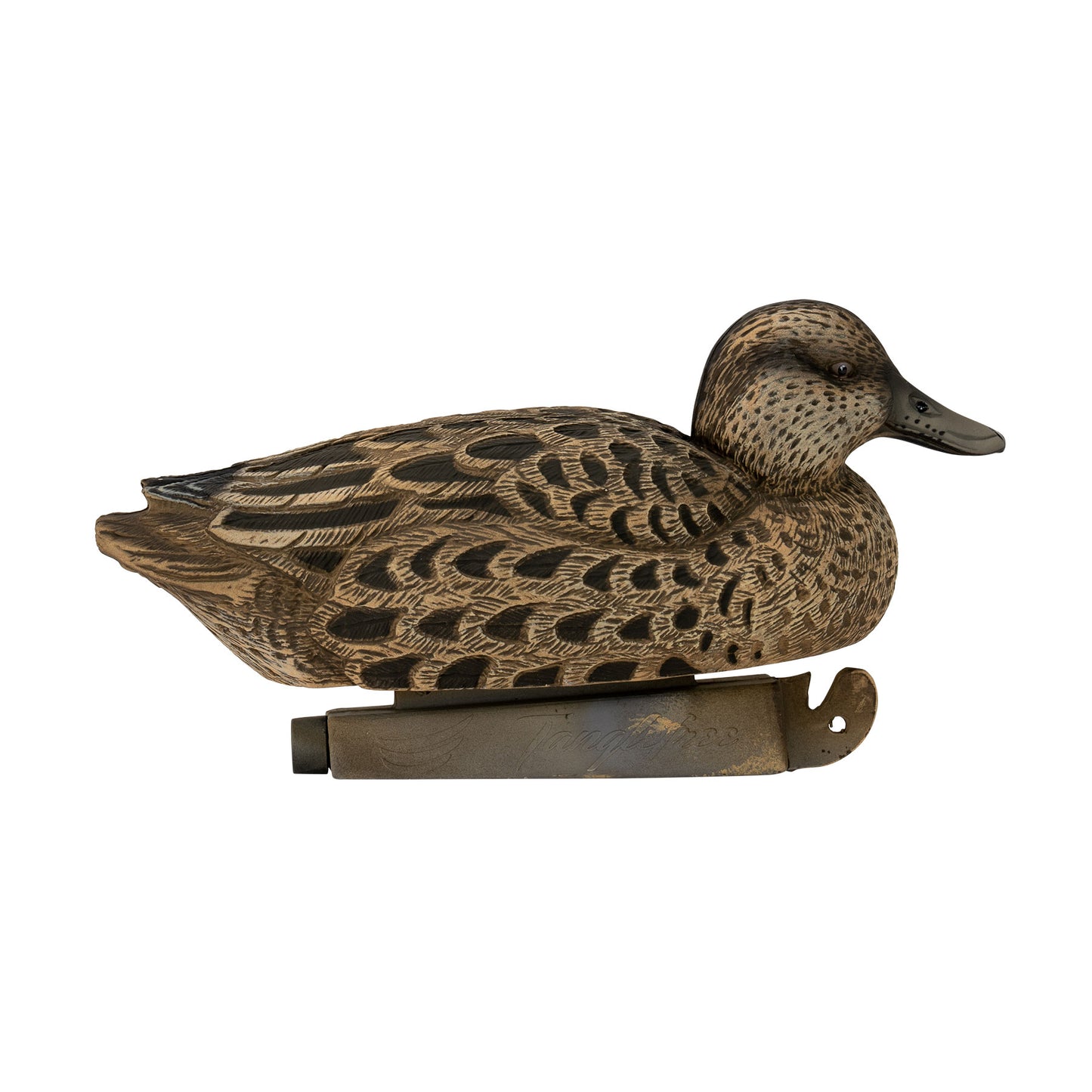 Flight Blue Wing Teal