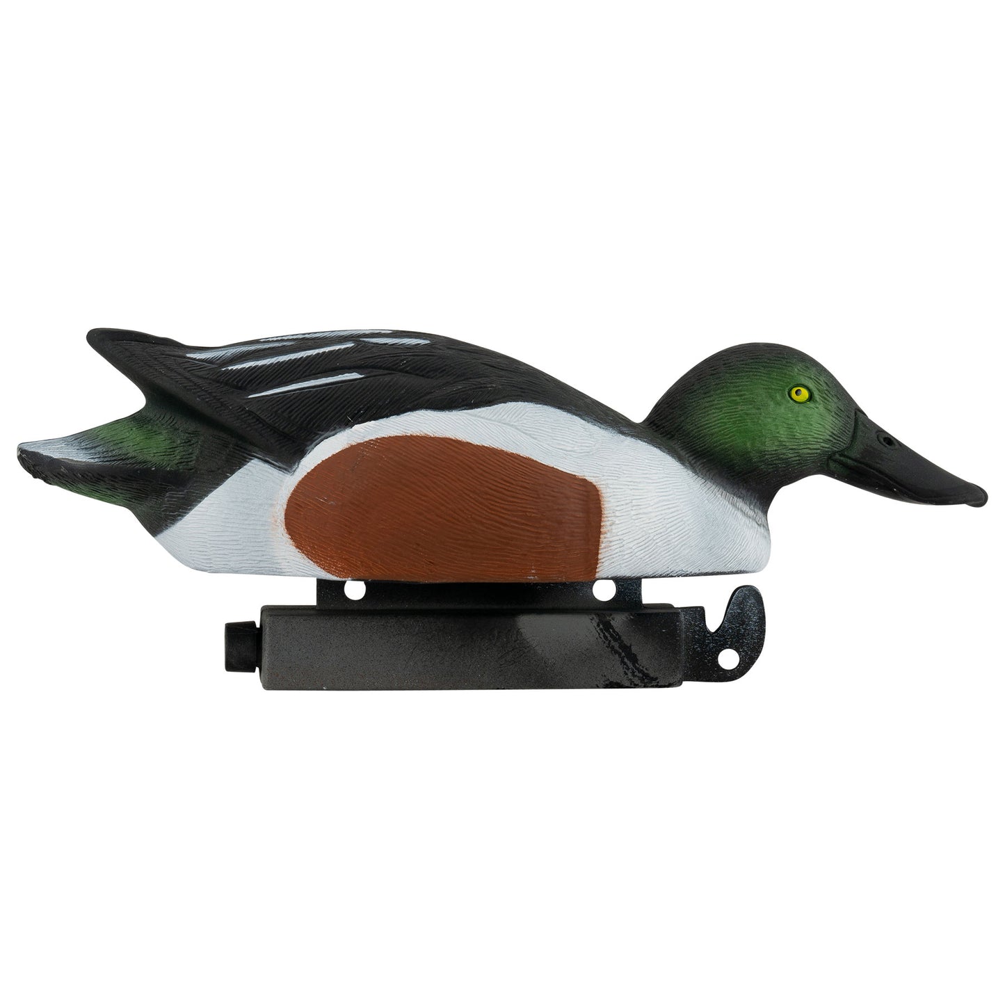 Pro Series Northern Shoveler (Spoonie)