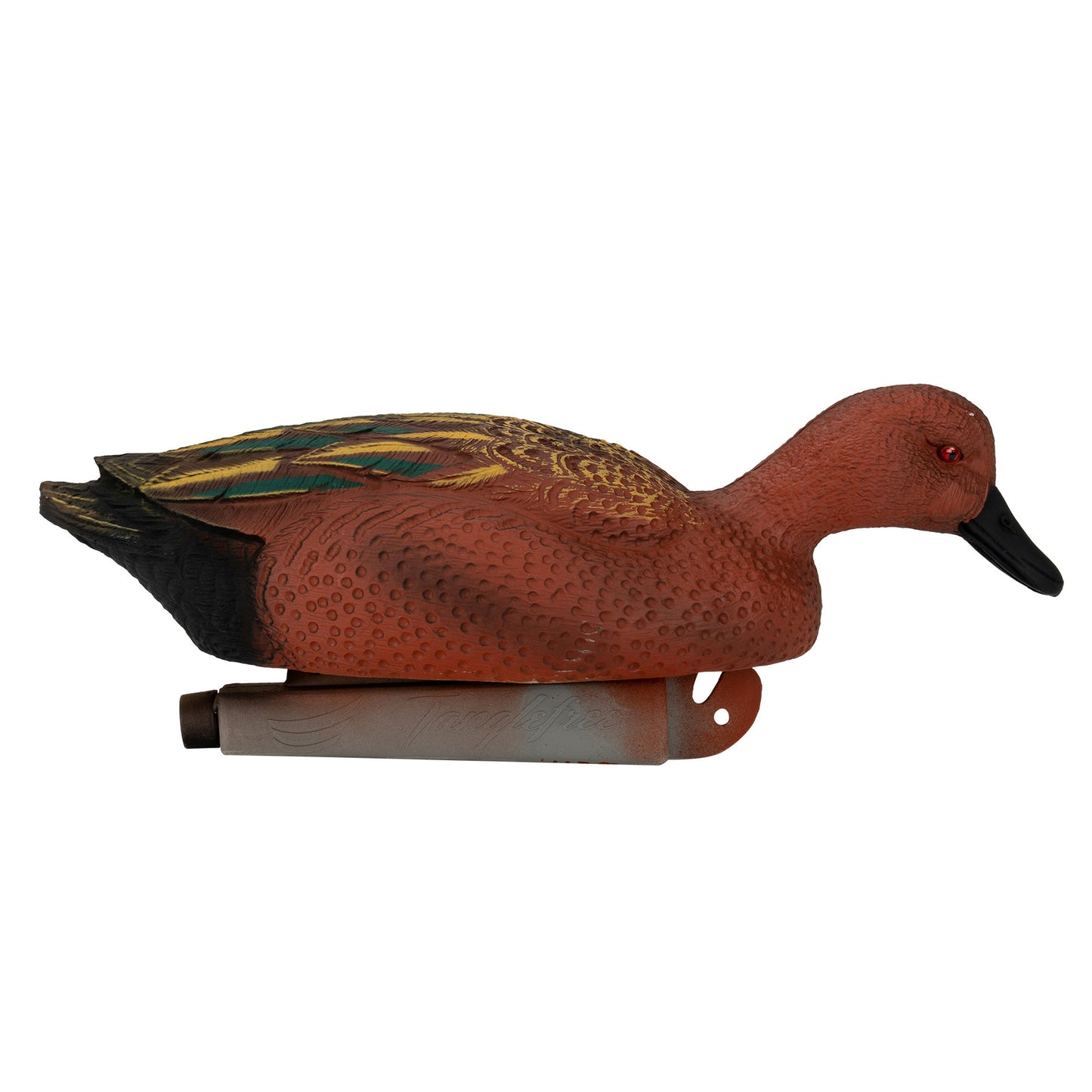 Flight Cinnamon Teal