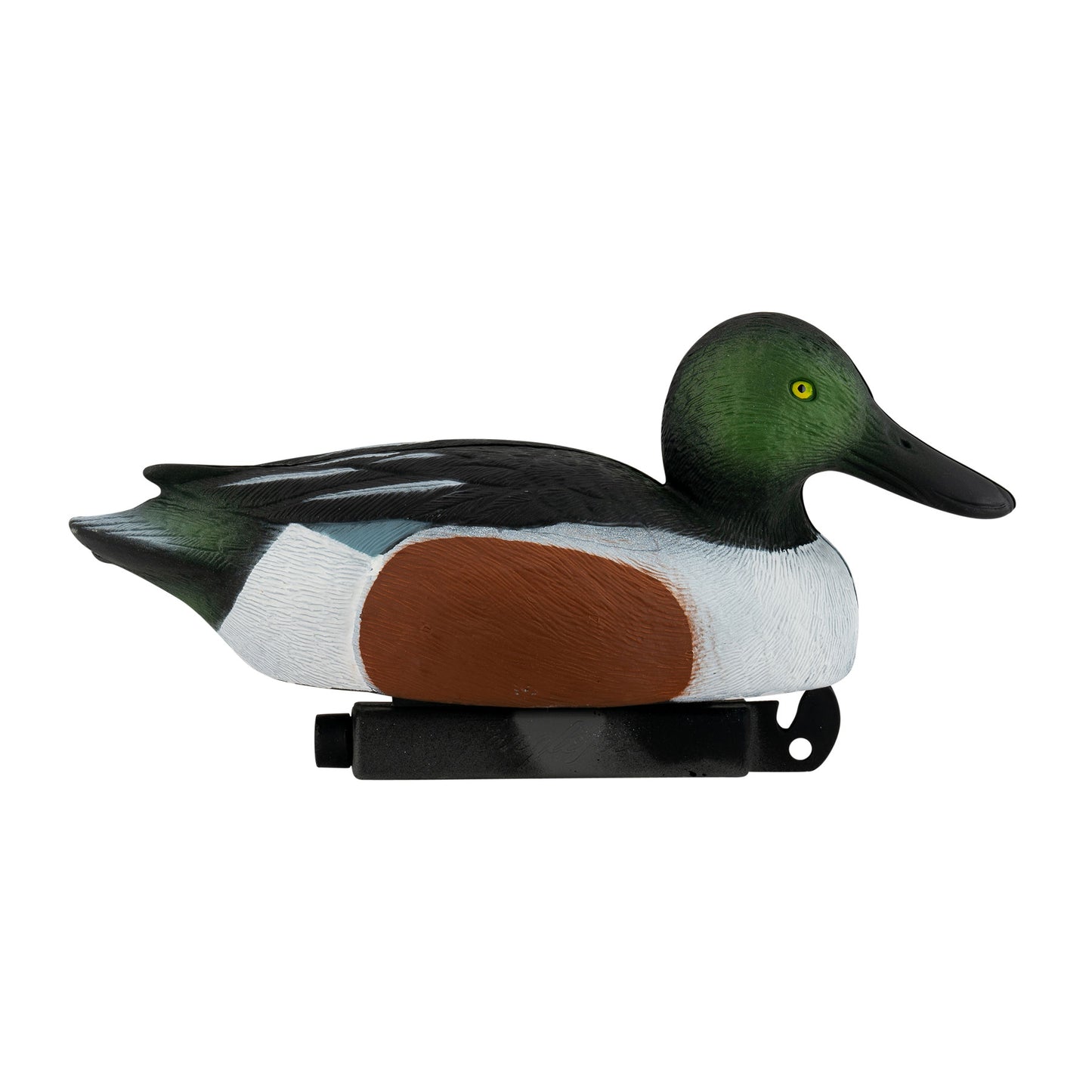 Pro Series Northern Shoveler (Spoonie)