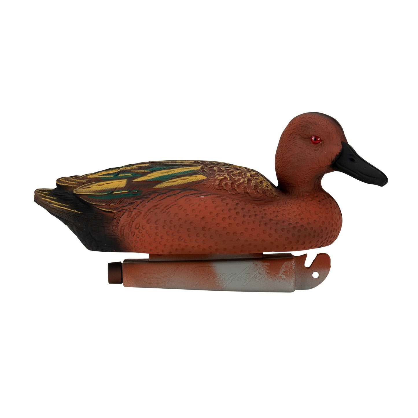 Flight Cinnamon Teal