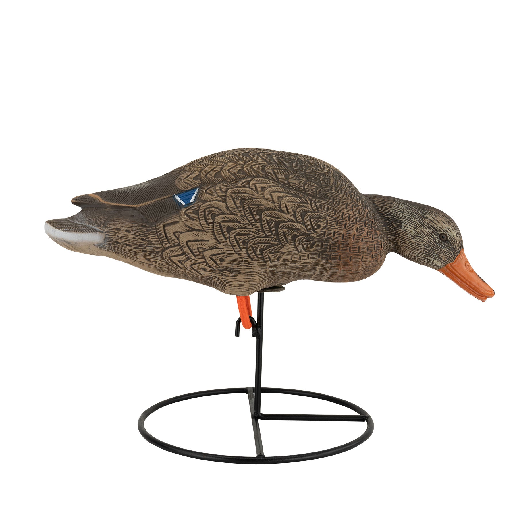 Mallard hen decoy side angle