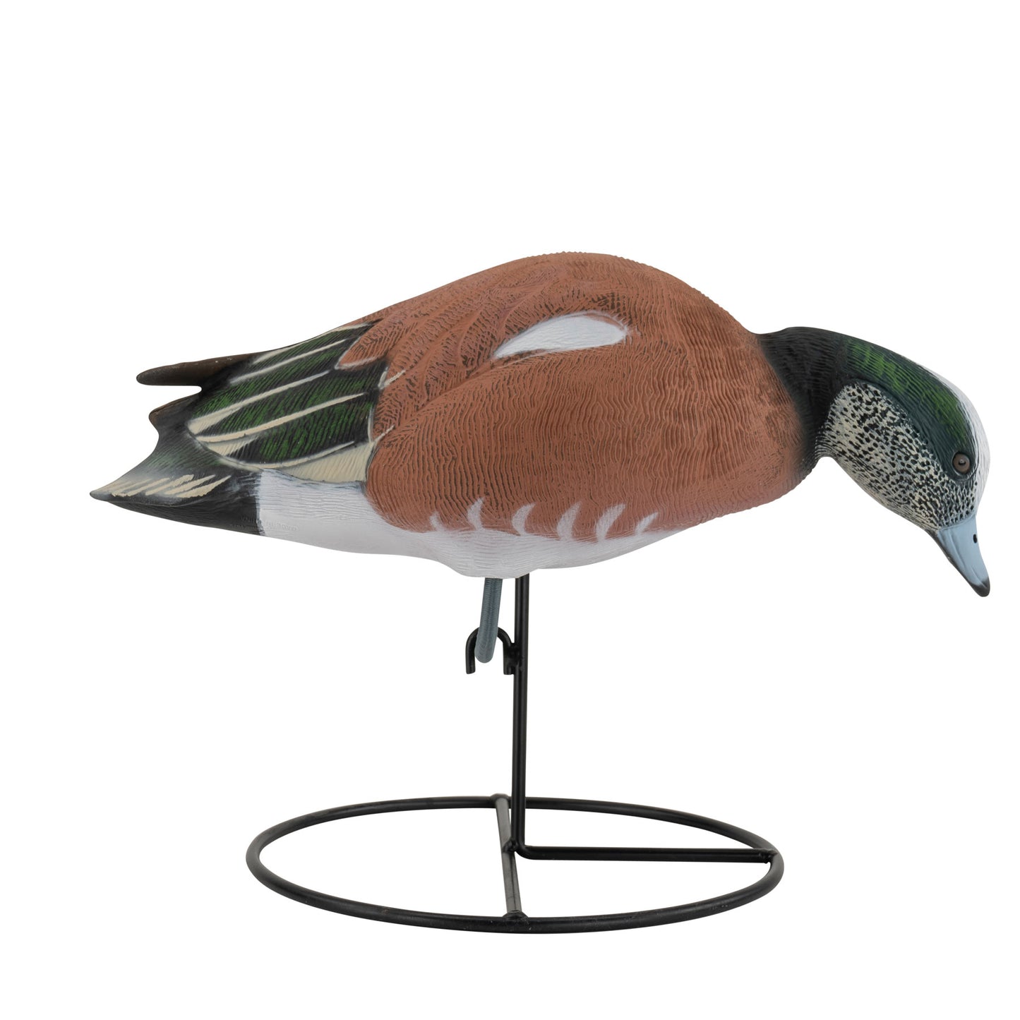 Pro Series Full Body American Wigeon