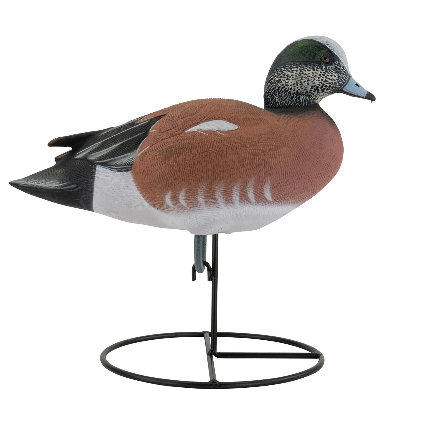 Pro Series Full Body American Wigeon