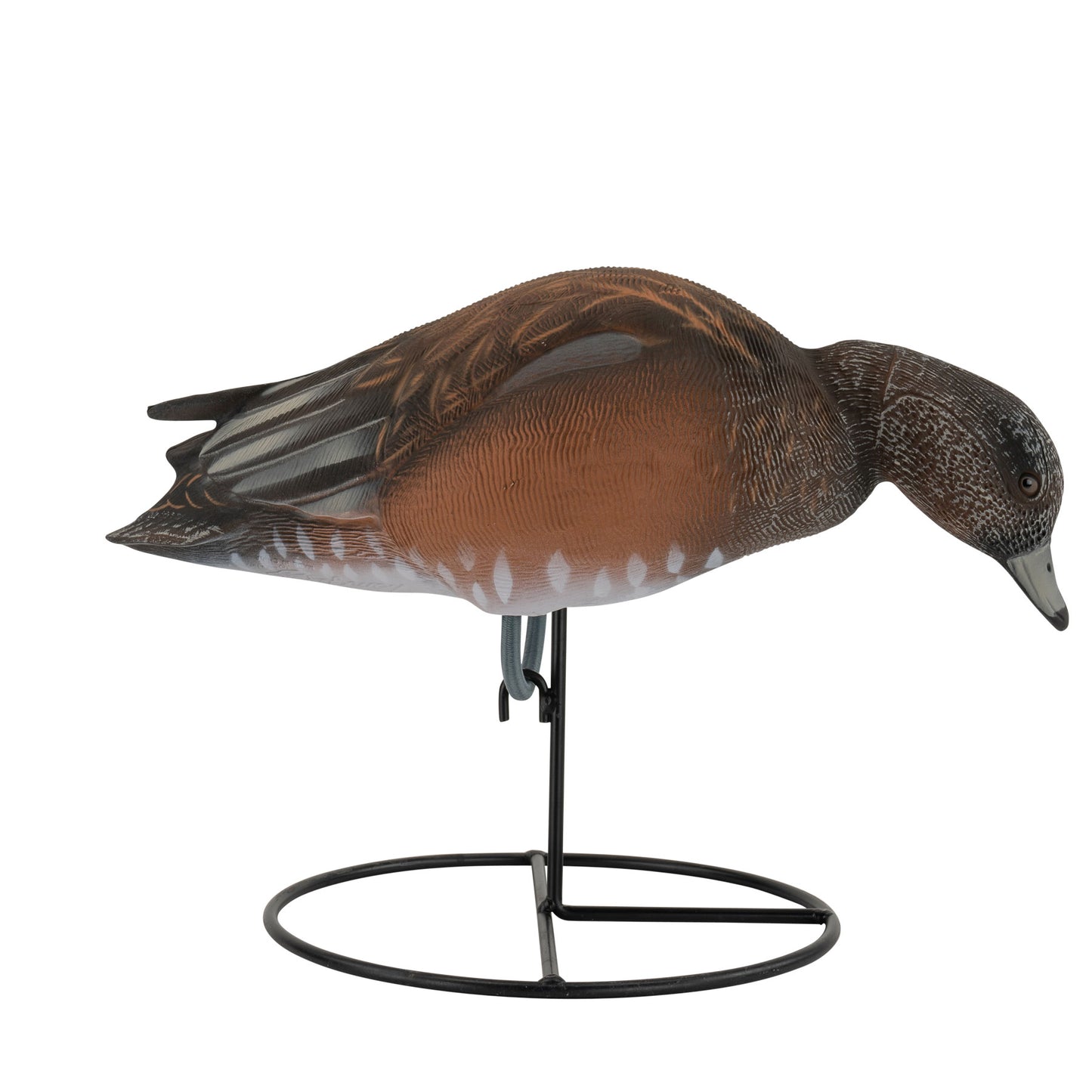 Pro Series Full Body American Wigeon