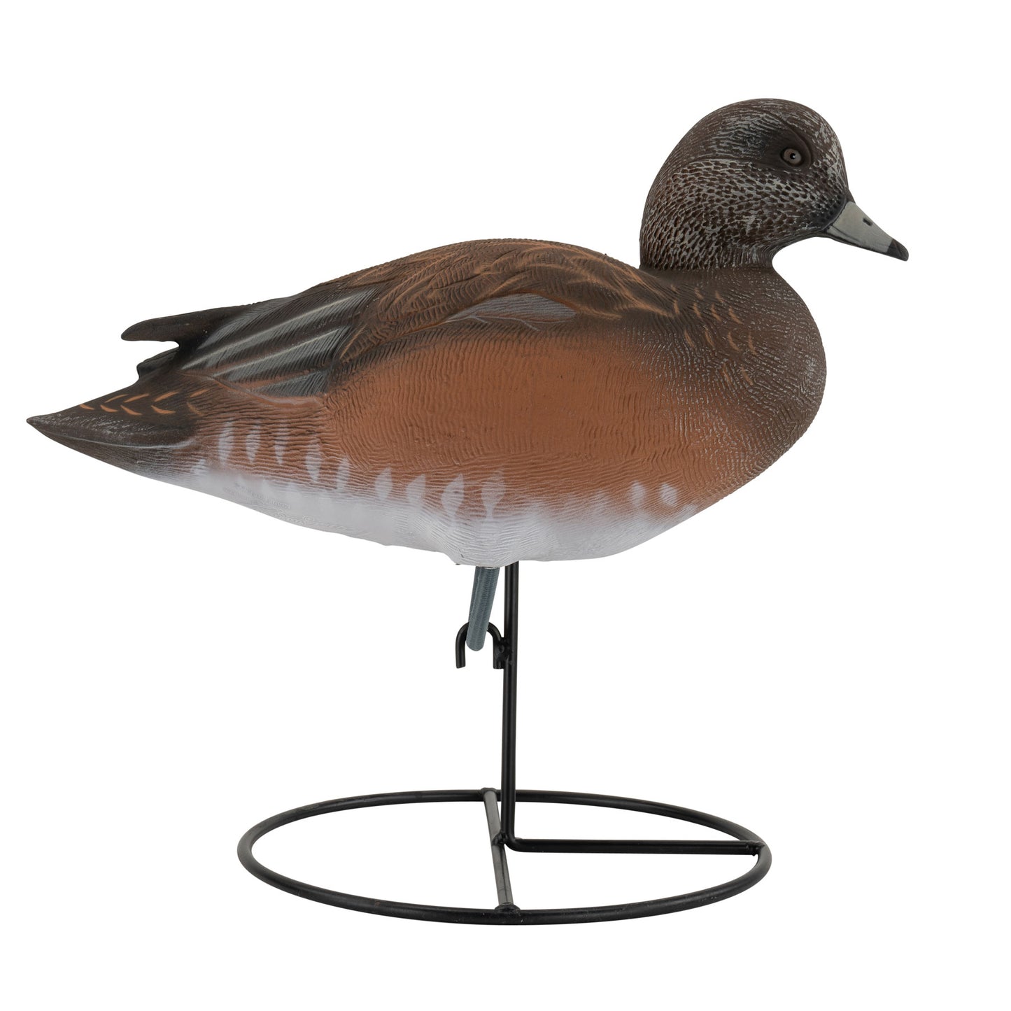 Pro Series Full Body American Wigeon