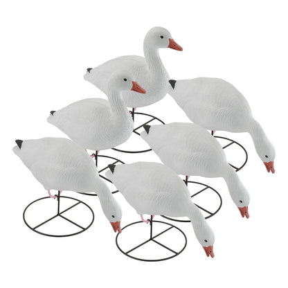 Pro Series Full Body Snow Goose Decoy Combo Pack