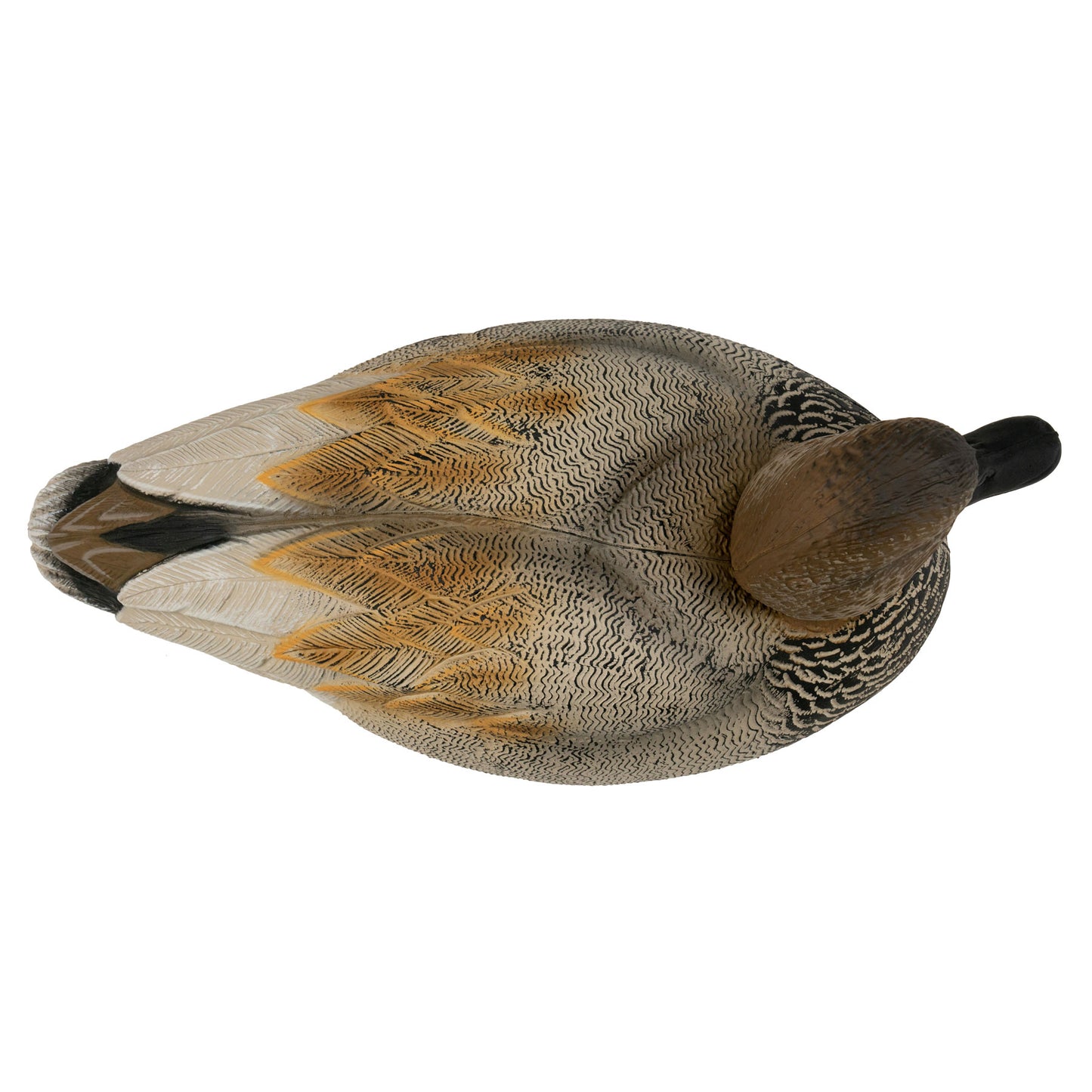 Flight Gadwall