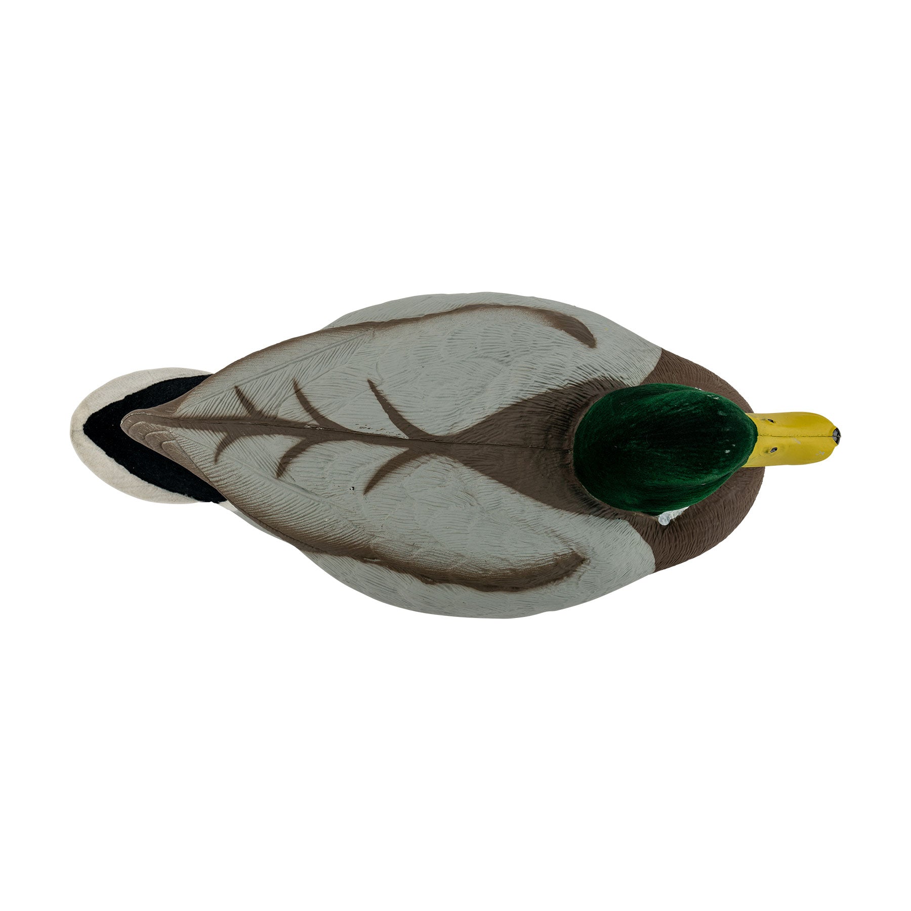 Mallard drake decoy top down angle