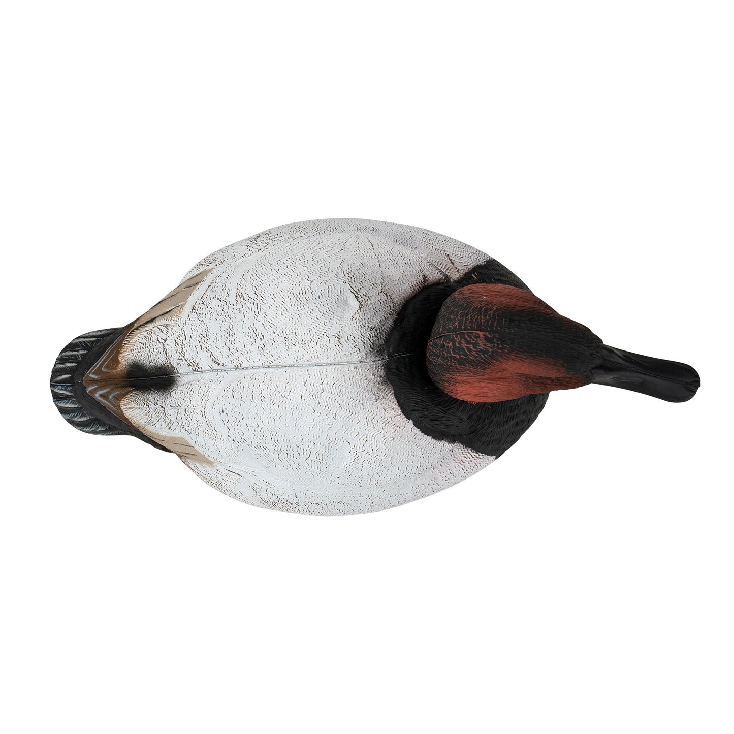 Flight Canvasback