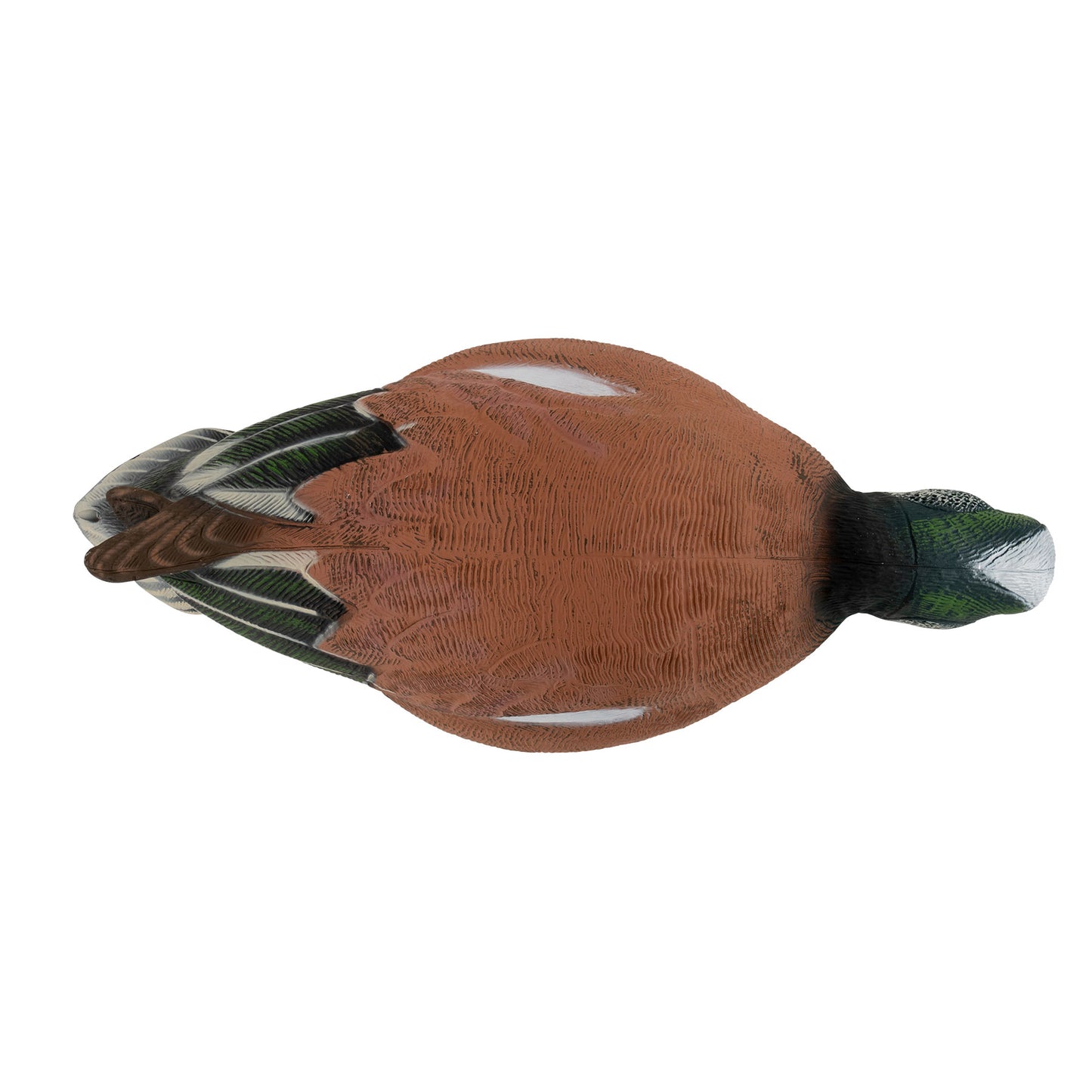 Pro Series Full Body American Wigeon