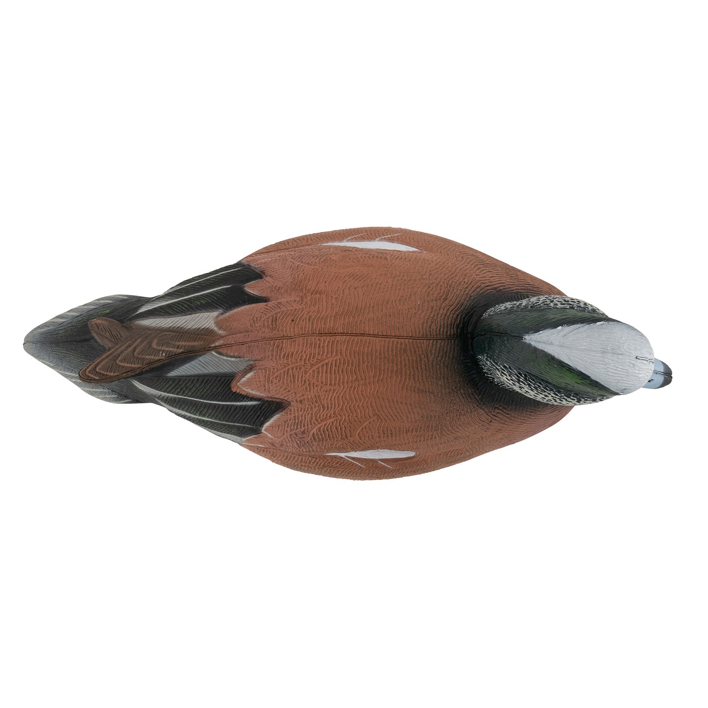 Pro Series Full Body American Wigeon