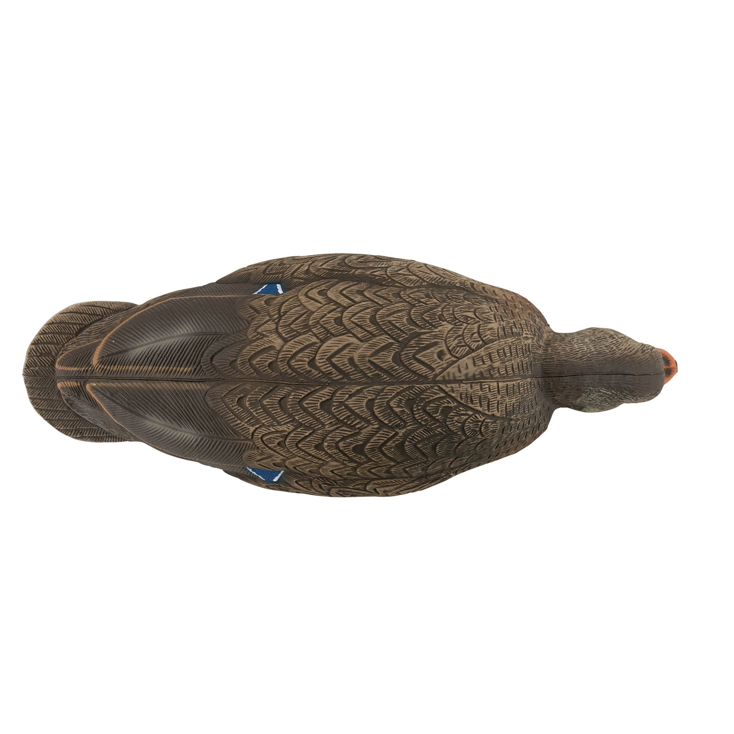 Mallard hen decoy top down