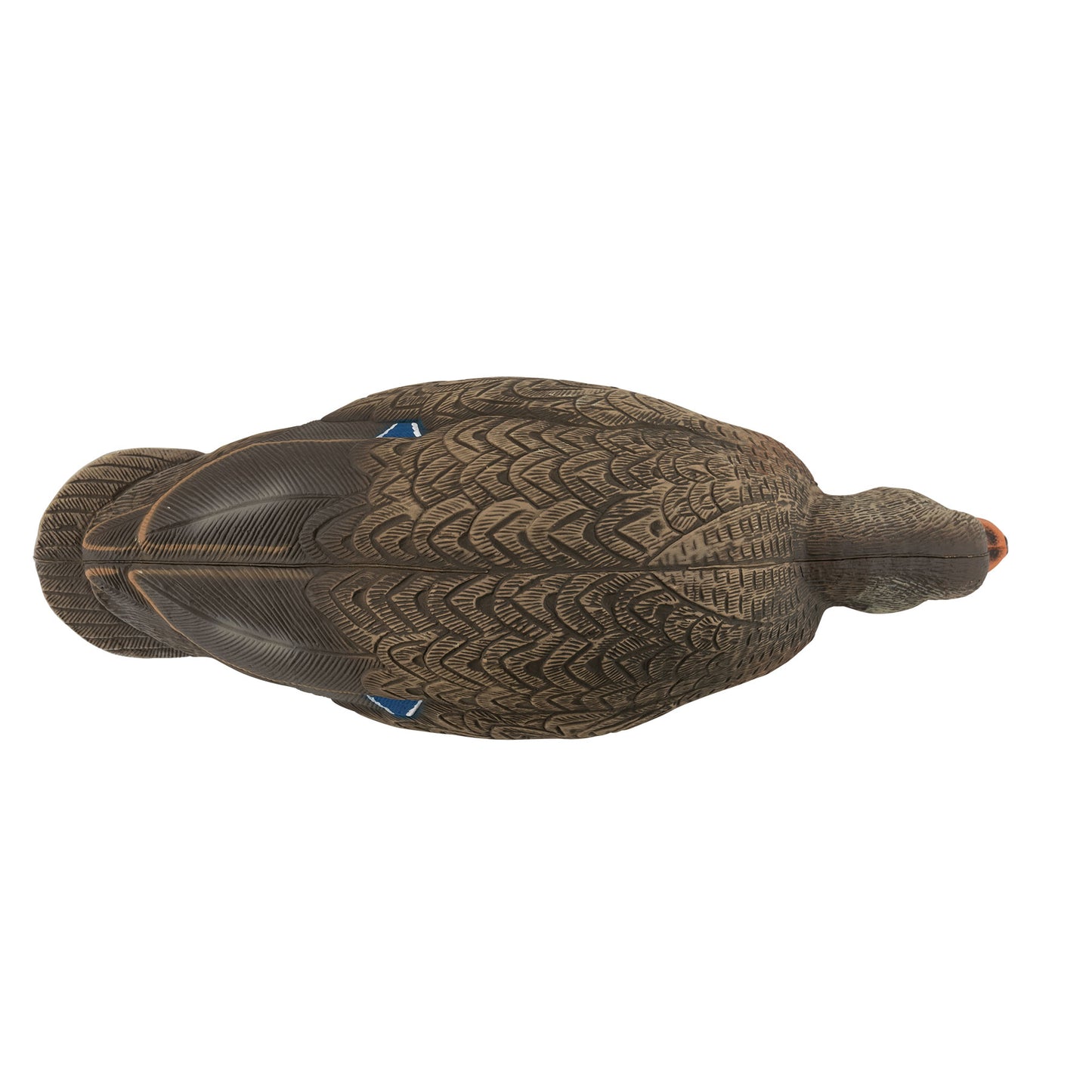 Mallard hen decoy top down 