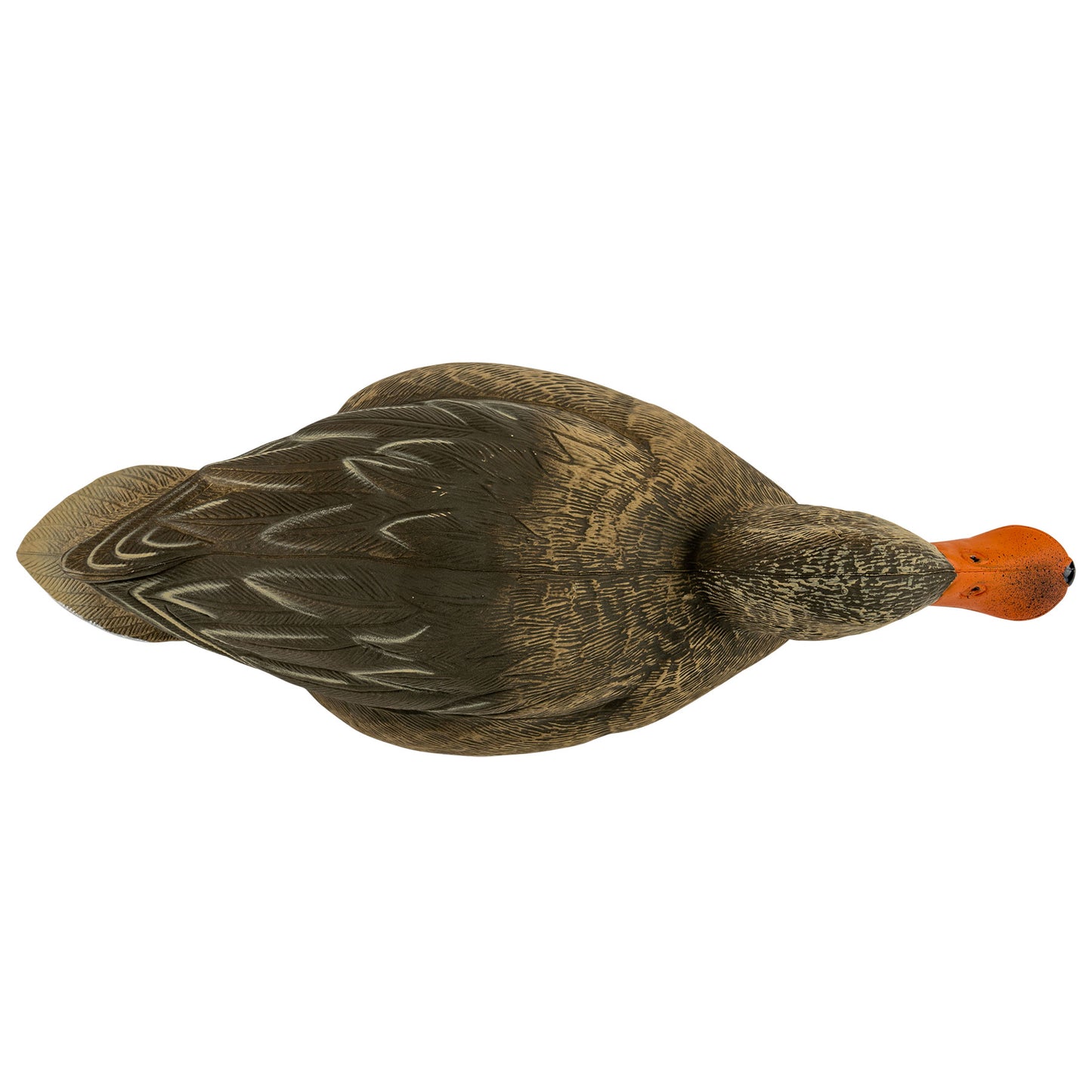 Pro Series Northern Shoveler (Spoonie)