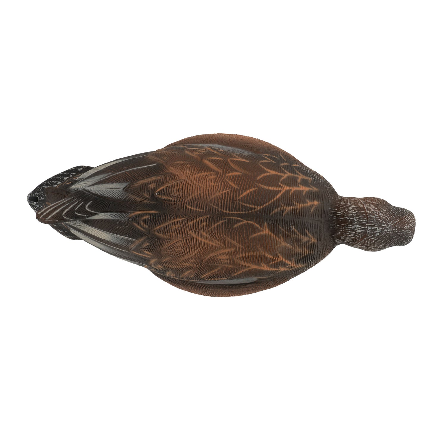 Pro Series Full Body American Wigeon