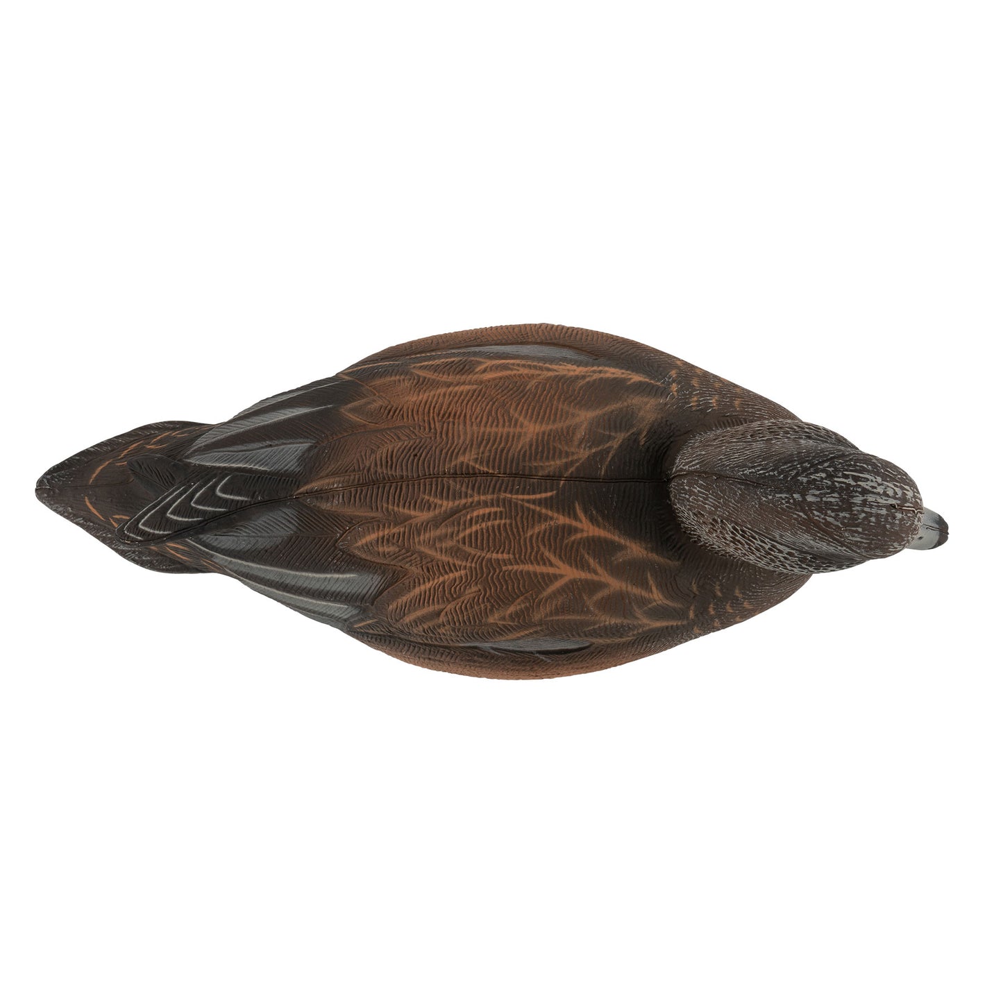 Pro Series Full Body American Wigeon