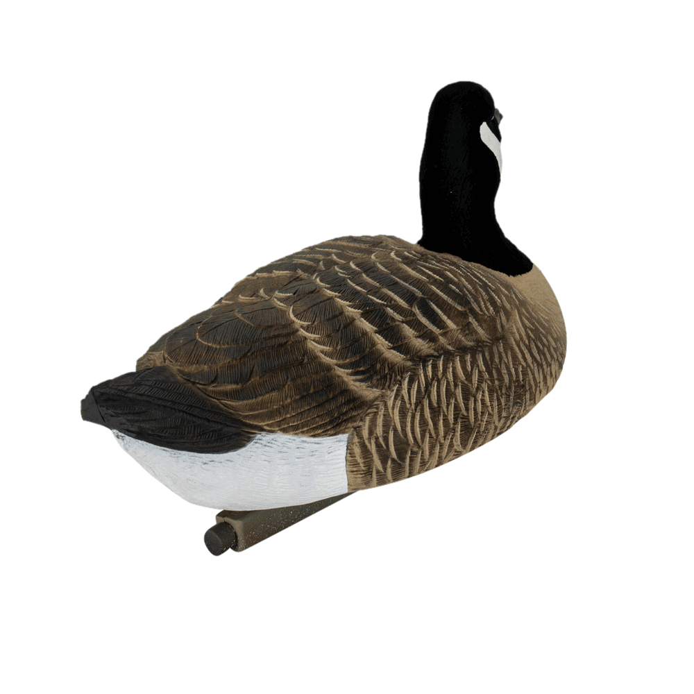 Flight Lesser Canada Floater Decoys
