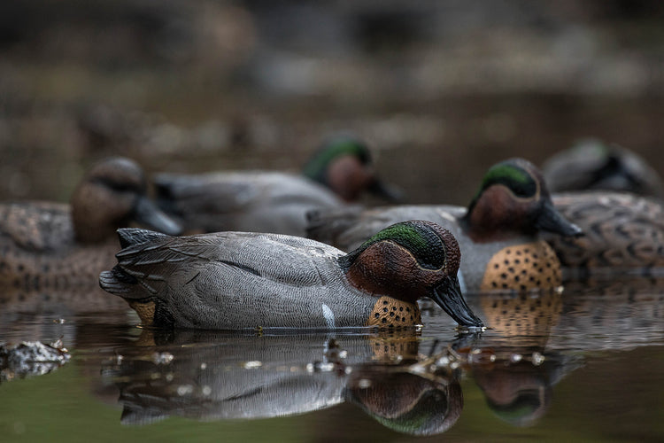 Decoys