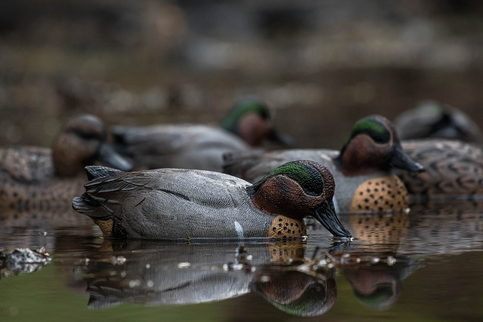 Decoys – tagged "species-mallard" – Tanglefree Shop