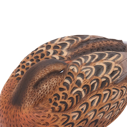 Flight Series Mallard Sleeper Shells - 12pk