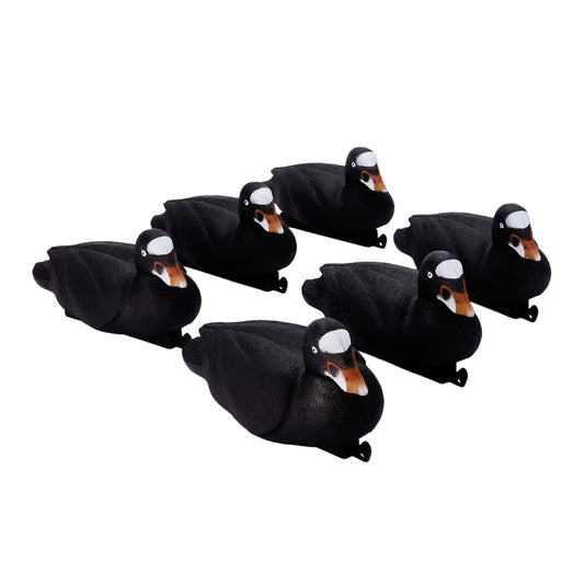 Migration Surf Scoter 6-Pack
