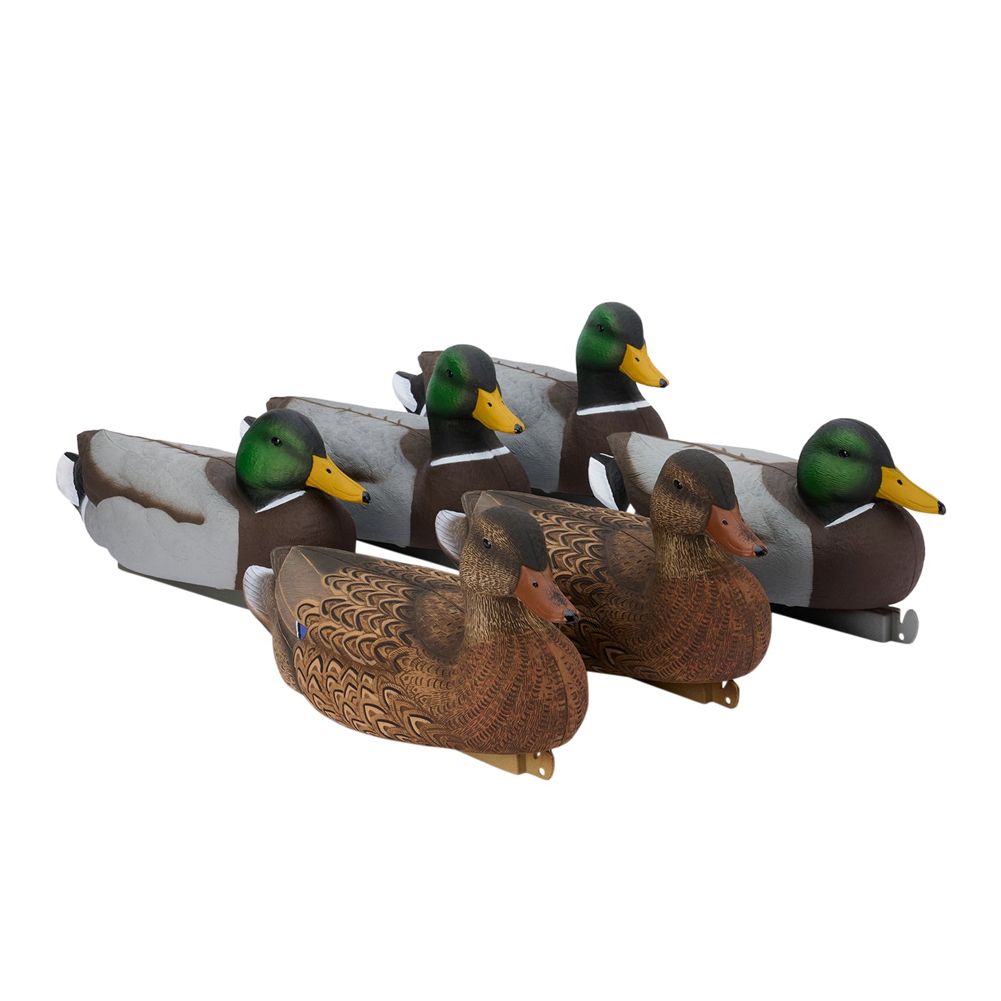 Super Magnum Mallard Decoys