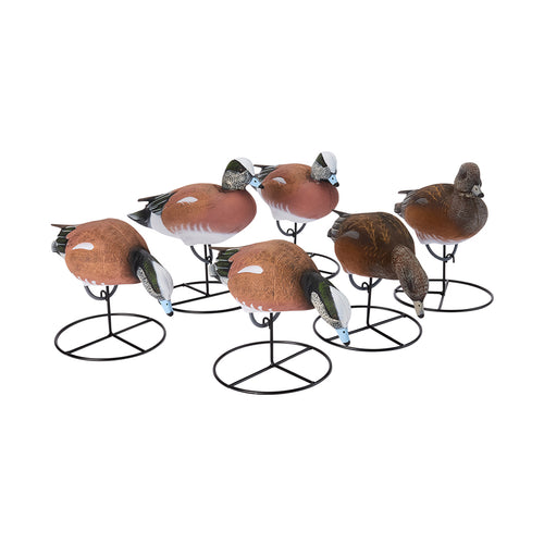 Pro Full Body American Wigeon 6-Pack