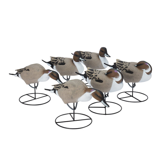 Pro Full Body Pintail 6-Pack