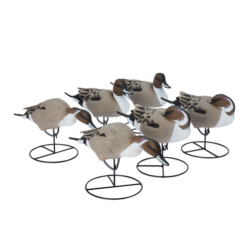 Pro Full Body Pintail 6-Pack
