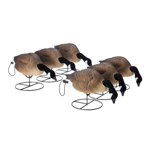 Flight Full Body Canada Goose Feeders 6-Pack
