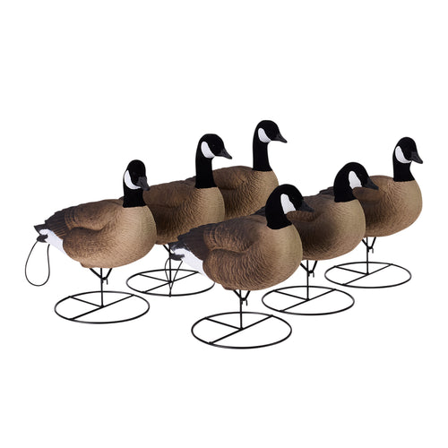 Flight Full Body Canada Goose Uprights 6-Pack