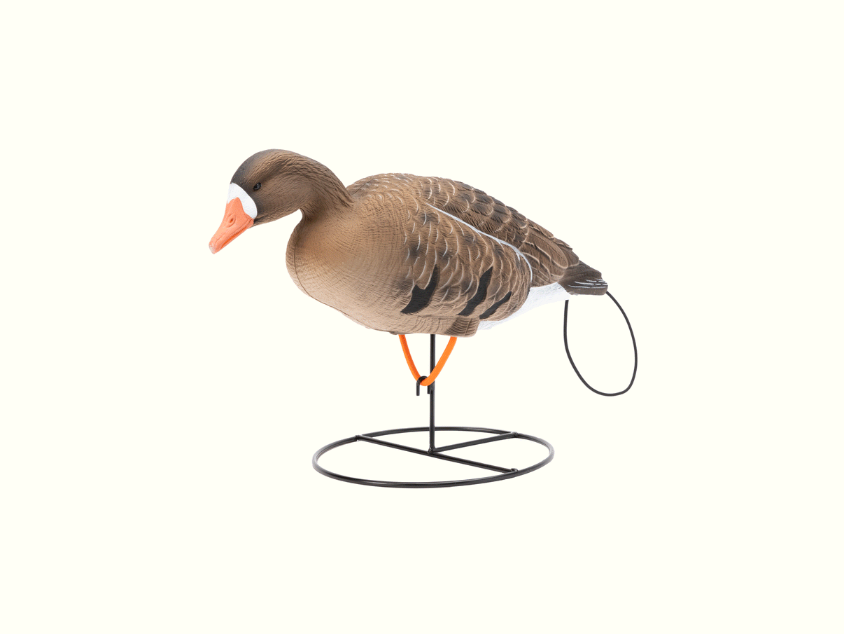 Flight Series Full Body Specklebelly Goose Decoys Tanglefree Shop
