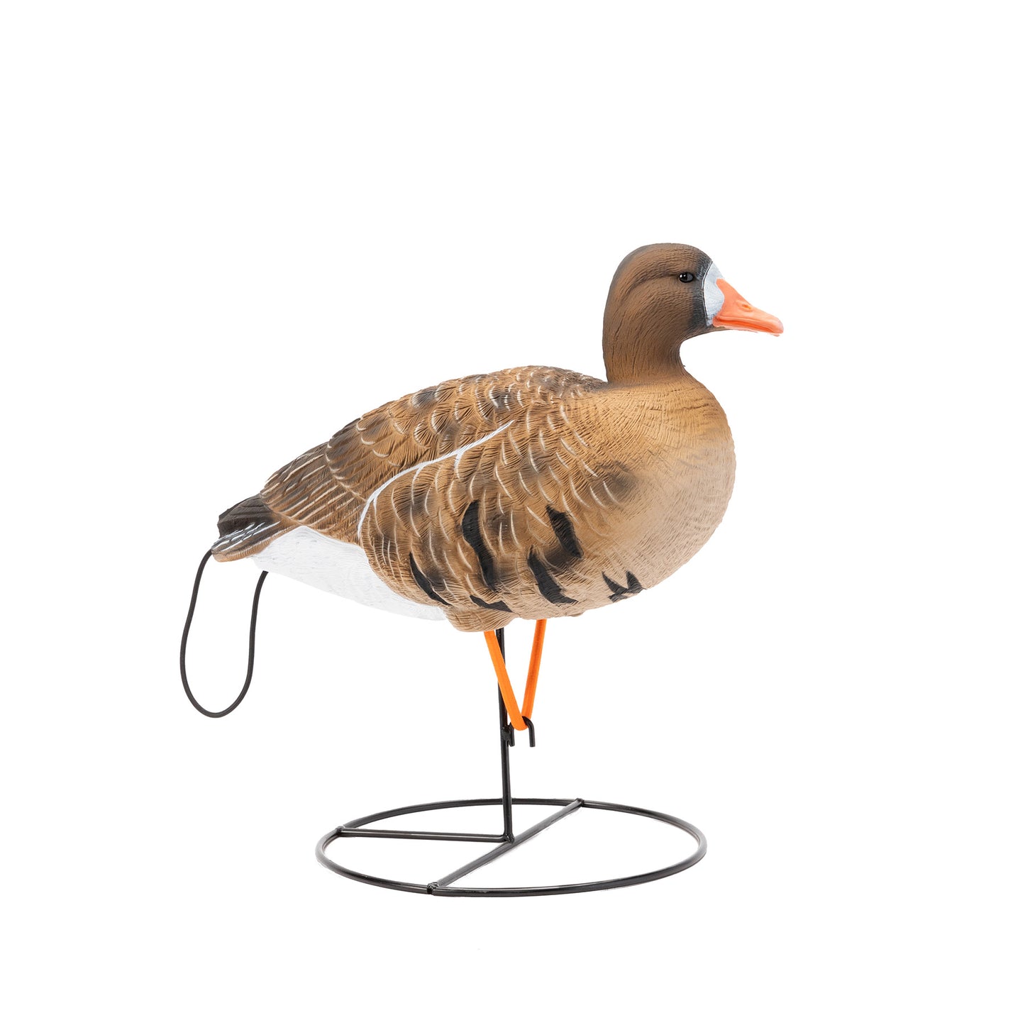 Flight Series Full Body Specklebelly Goose Decoys