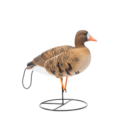 Flight Series Full Body Specklebelly Goose Decoys