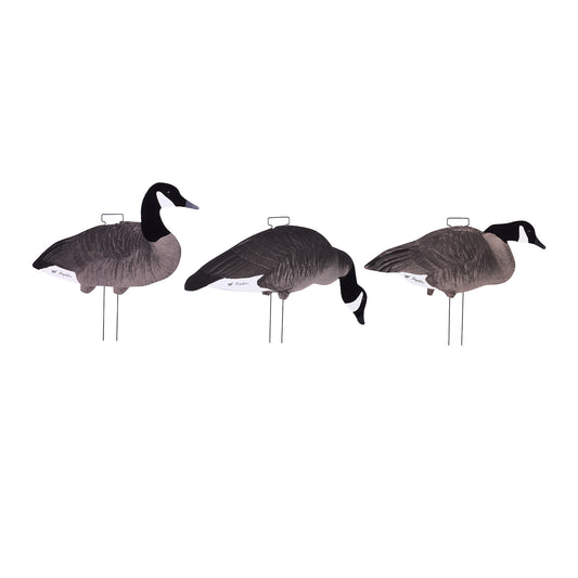 Fully Flocked Canada Skinny Decoys 12-Pack