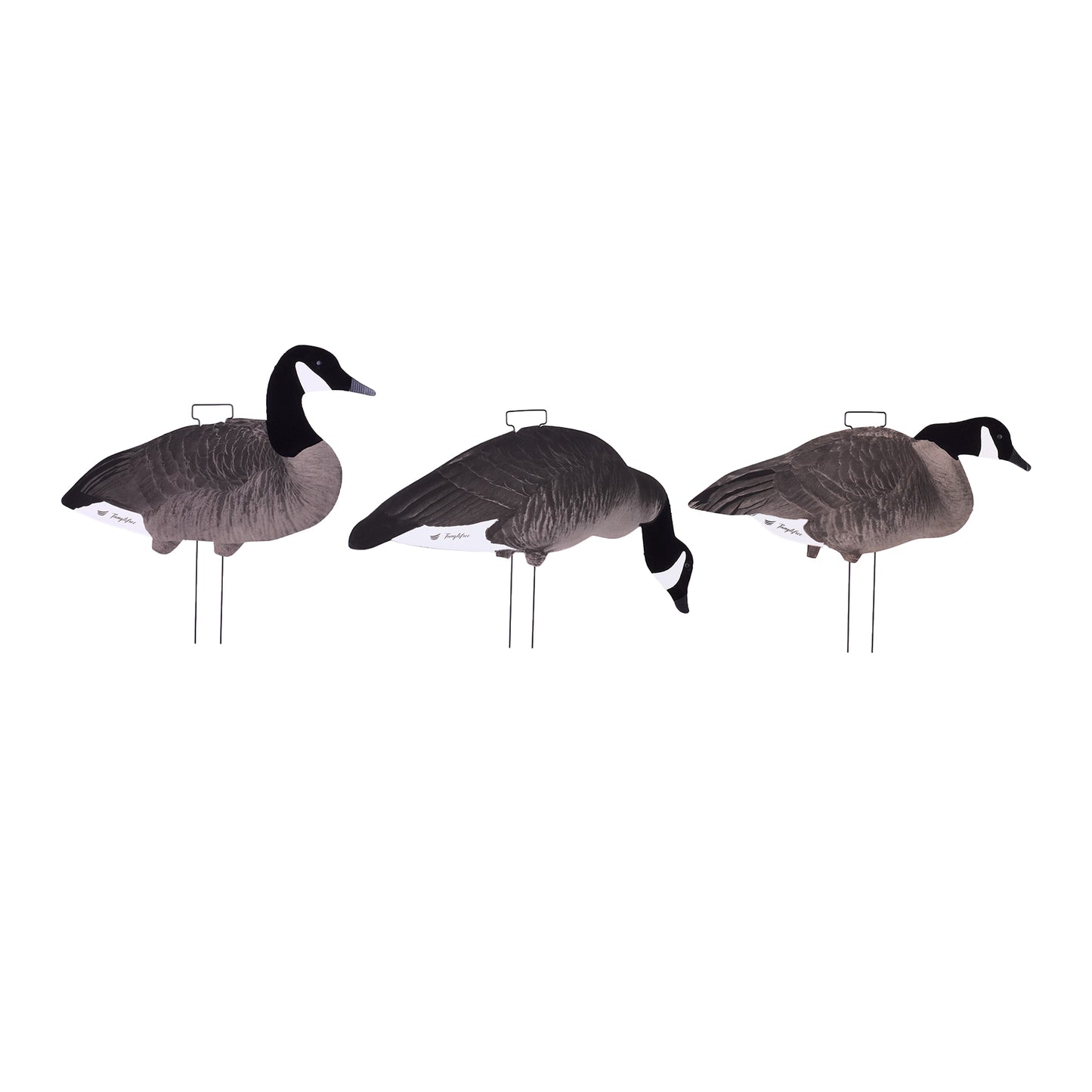 Fully Flocked Canada Skinny Decoys (12 Pack)