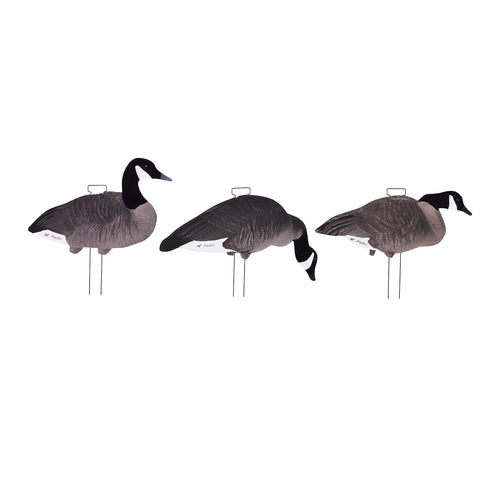 Fully Flocked Canada Skinny Decoys 12-Pack