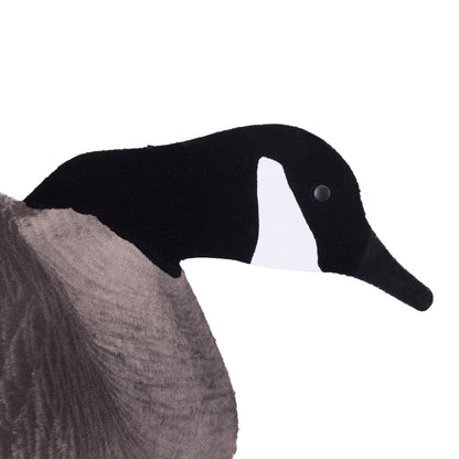 Fully Flocked Canada Skinny Decoys (12 Pack)