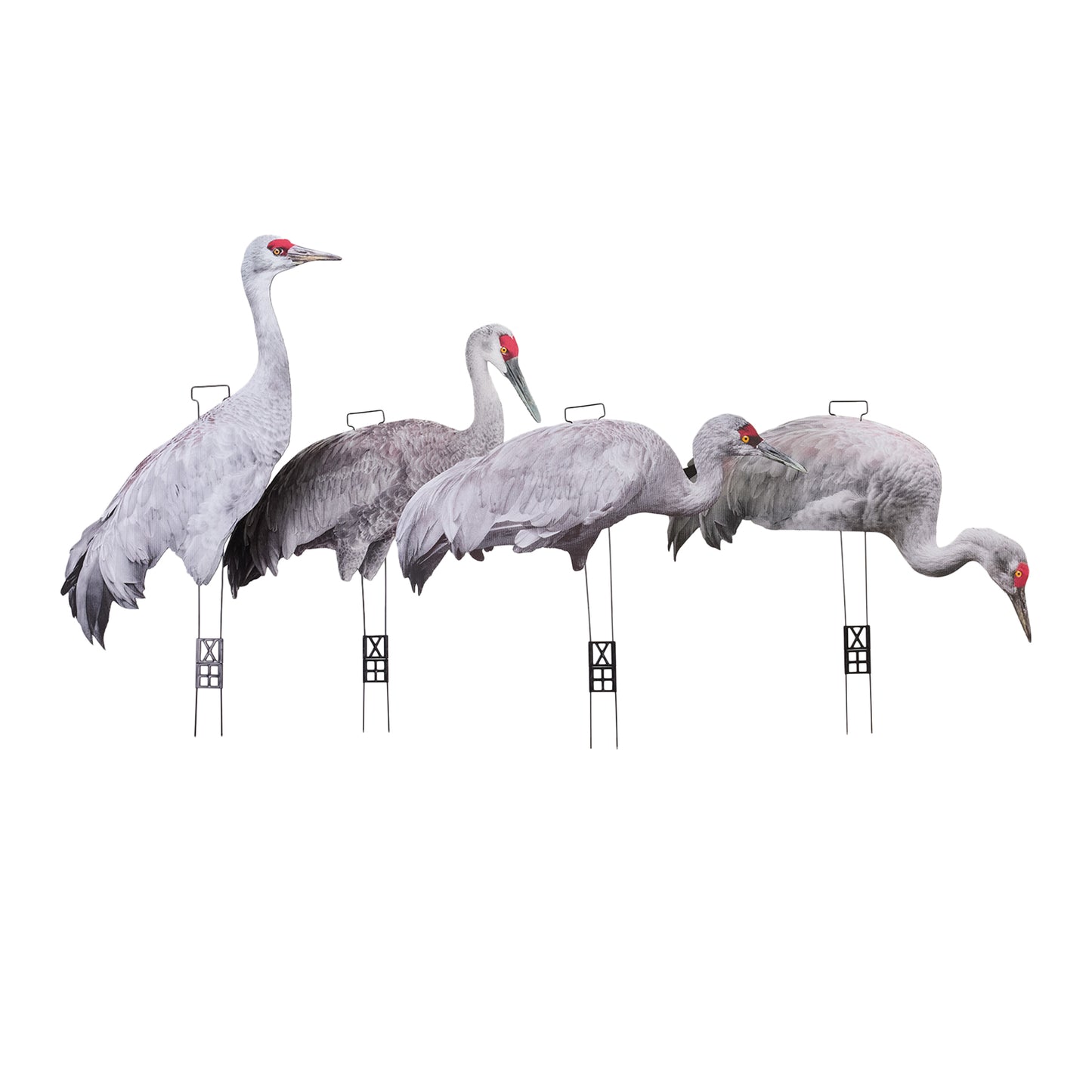 Fully Flocked Sandhill Crane Skinny (12 Pack)