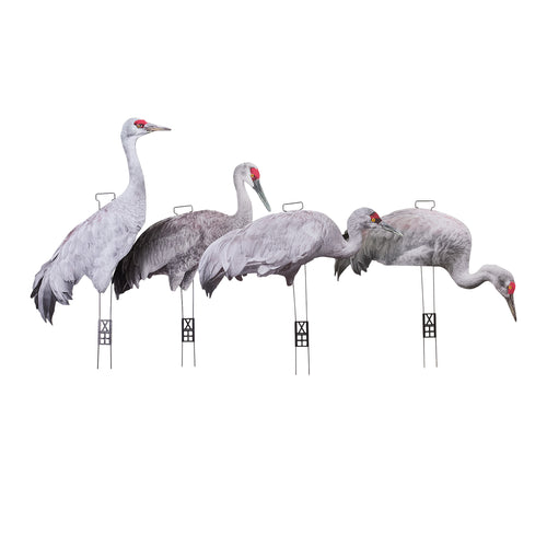 Fully Flocked Sandhill Crane Skinny 12-Pack