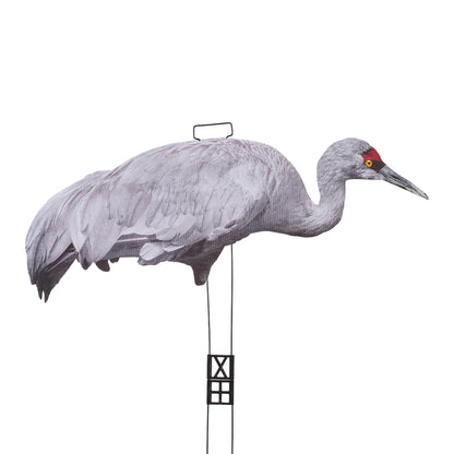 Fully Flocked Sandhill Crane Skinny (12 Pack)