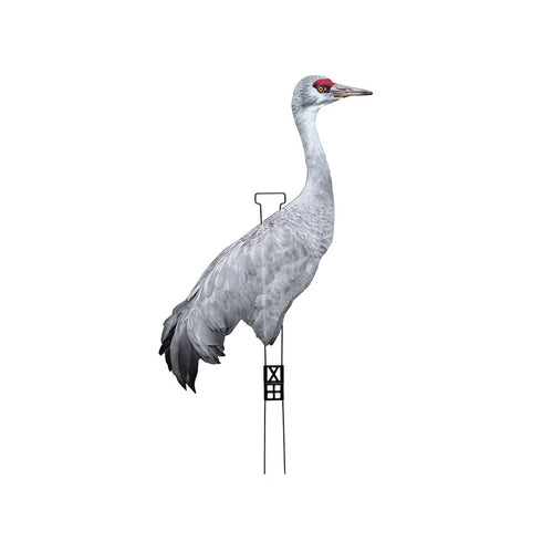Fully Flocked Sandhill Crane Skinny (12 Pack)