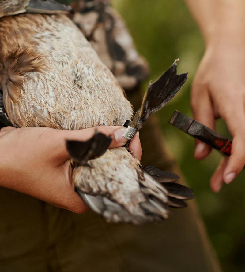 Conservation