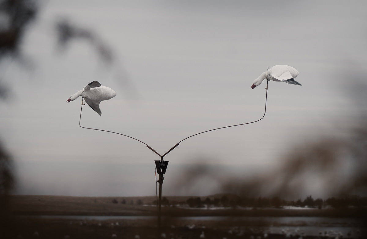 Snow Goose Slammer Flapper - 4 pack – Tanglefree Shop