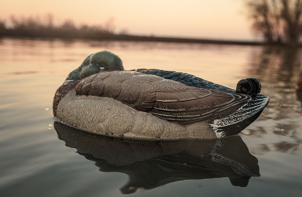 thumbnail image 2 of Goose Floater Decoys Flambeau Storm Front 2 (6-Pack) - Ultra-Realistic Floating Duck Decoys For Hunting Wood Duck Decoys 2 of 14