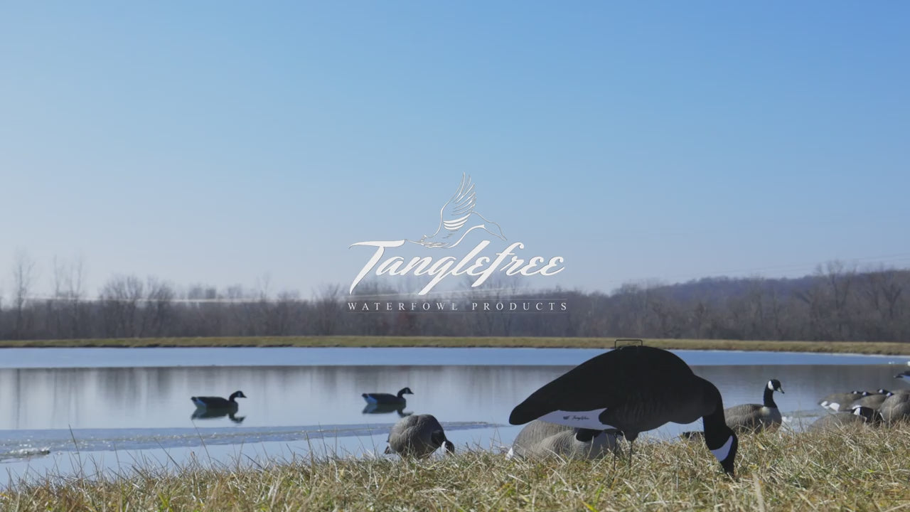 クマガイ5351 SKINNY 48 & ペイント2点ご購入 Fully Flocked Canada Skinny Decoys 12-Pack – Tanglefree Shop