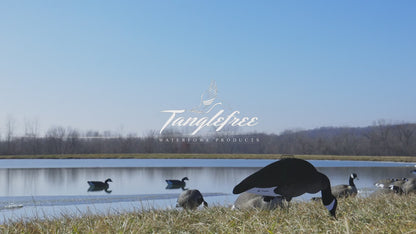 Fully Flocked Canada Skinny Decoys (12 Pack)