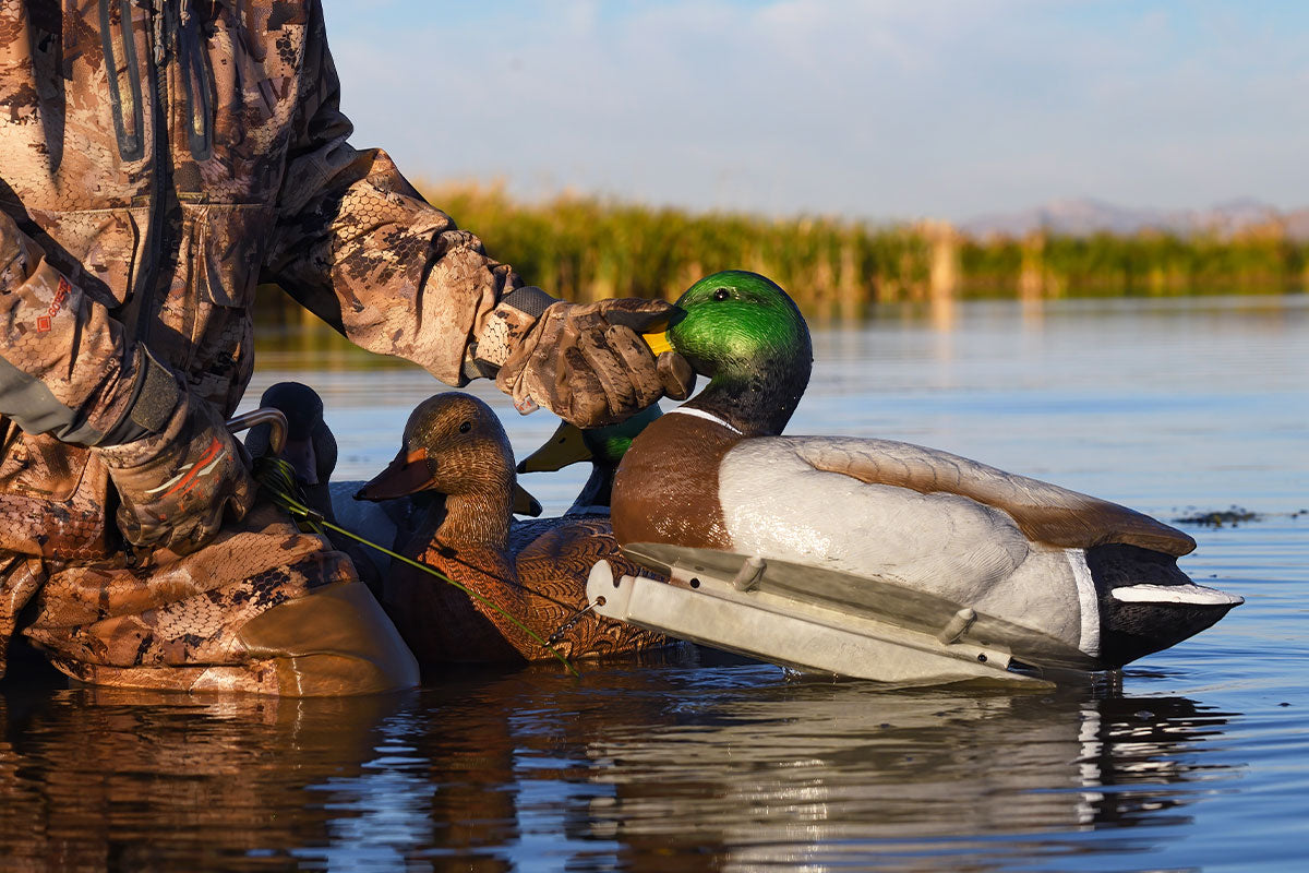 Super Magnum Mallard Decoys – Tanglefree Shop